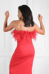 Marmelstein_Super_stretch_ostrich_feather_red_tube_Dress.png